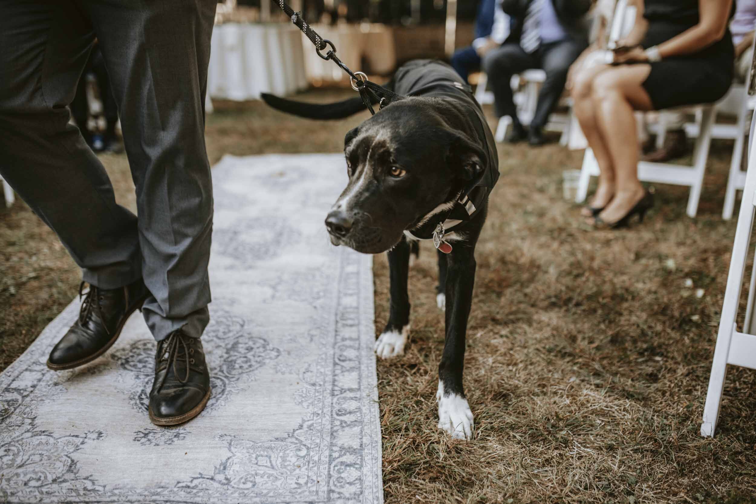 JessDan.Backyard.Wedding.BLOG-051.jpg